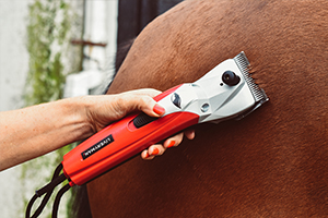 Najczęściej zadawane pytania dotyczące strzyżenia — Niki Baxter