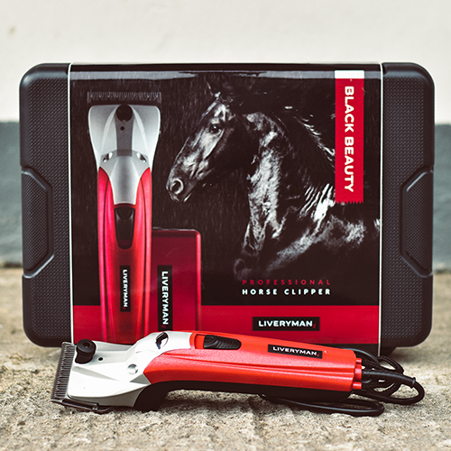 Black Beauty - obrazek 5