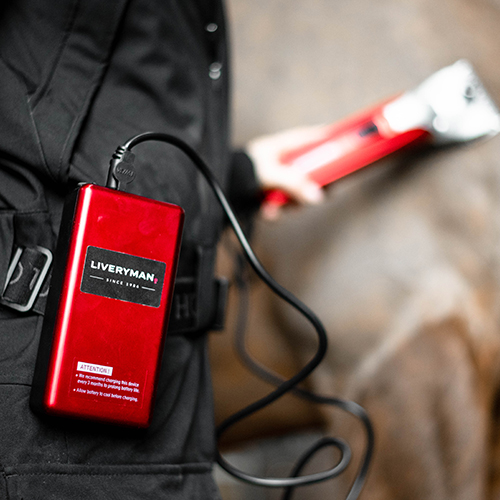 Akumulator do modelu Black Beauty - obrazek 3